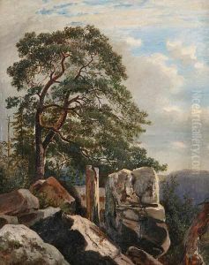 Pine Trees in a Rocky Landscape