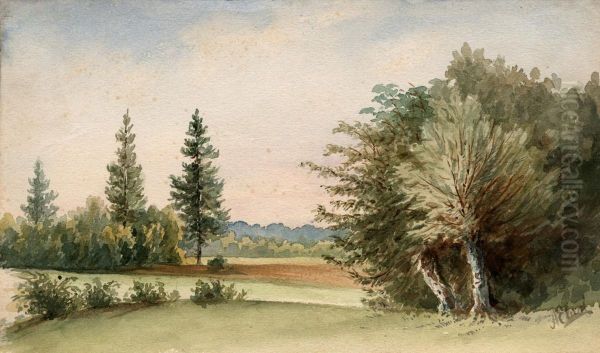 Pri Bakovcih - view 1