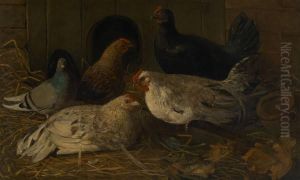 Poules Etpigeon by Jean Antonin Carles