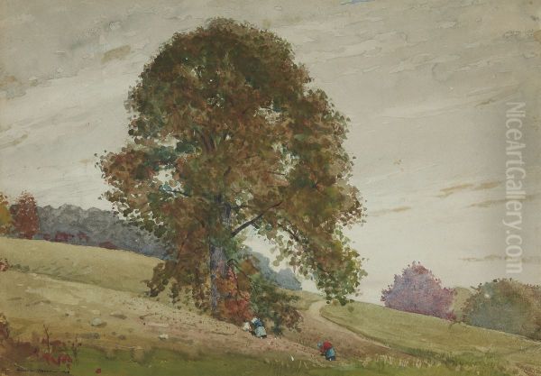 The Chestnut tree - view 1