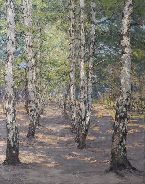 Birch path on the Heller near Dresden - view 1