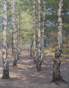 Birch path on the Heller near Dresden