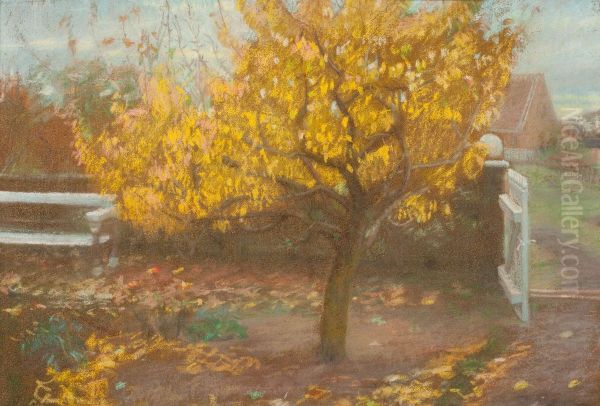 The pear tree in Ancher's front garden, autumn. - view 1