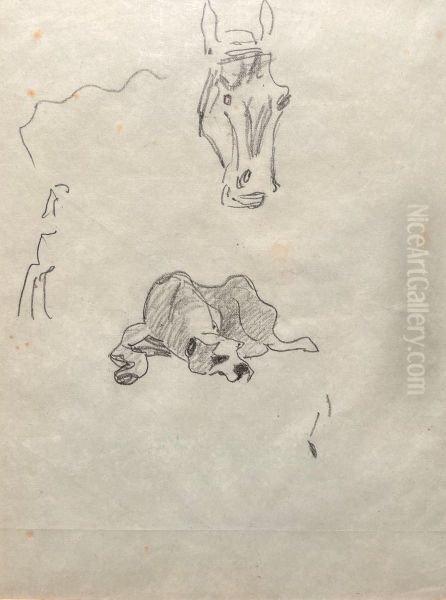 Perros y caballo - view 1