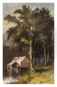 Summer Woodlands by Julie (Hart) Beers