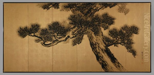 Aged Pines - view 1