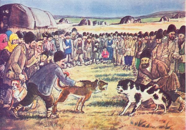 Battle of the Dogs - view 1
