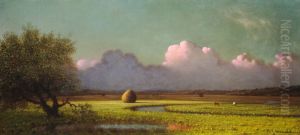 The Newbury Marshes by Martin Johnson Heade