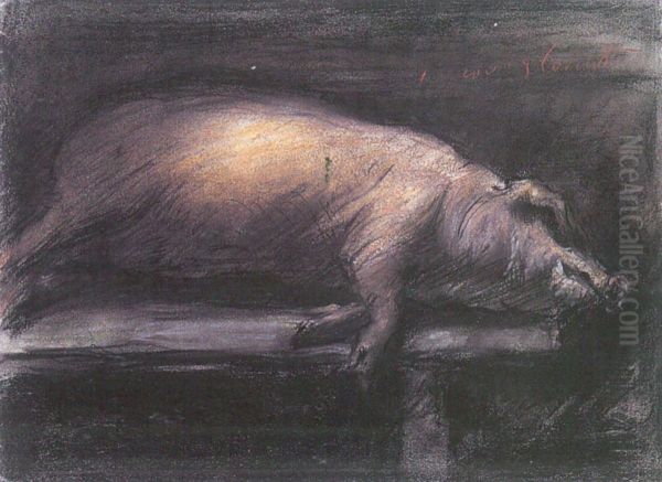 Slaughtered Pig - view 1