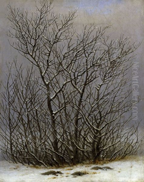 Bushes in the snow - view 1