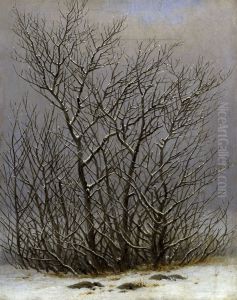 Bushes in the snow