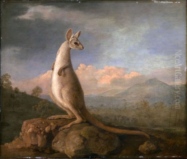 'The Kongouro from New Holland' (Kangaroo) - view 1