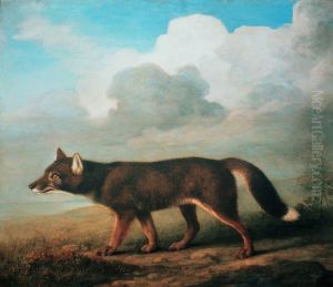 'Portrait of a Large Dog' (Dingo)