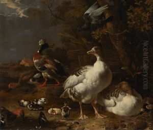Geese and Ducks by Melchior D'Hondecoeter