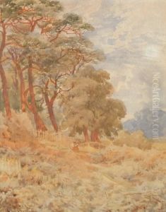 At The Edge Of The Woods by John Carlisle