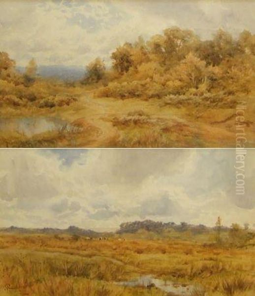 Landscapes - view 1