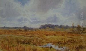 Cattle Grazing On A Heathland And by John Carlisle