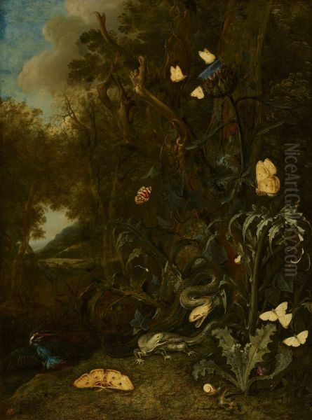 Plants and Insects - view 1