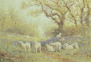 Sheep Grazing In Aflowering Meadow by John Carlisle