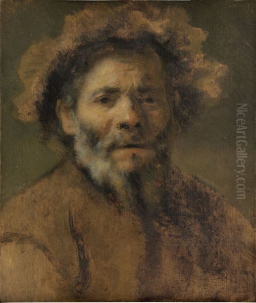Study of an Old Man - view 1