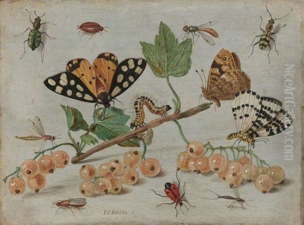 Insecten en vruchten - view 1