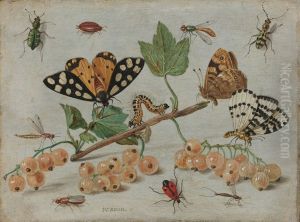 Insecten en vruchten by Jan van Kessel the Elder
