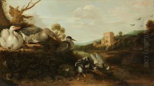 Watervogels Watervogels