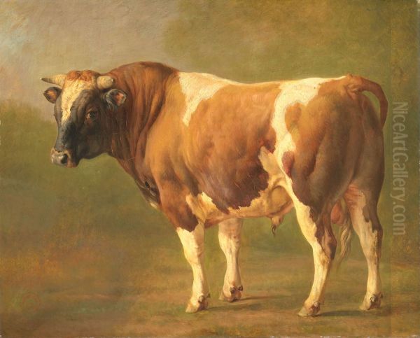 Study of a Bull - view 1