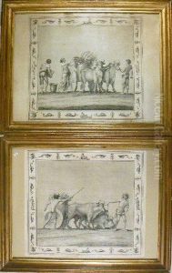 Scene E Decori Ornamentali by Marco Carlone
