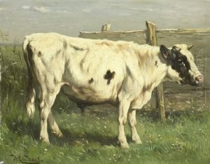 Jonge stier Jonge stier