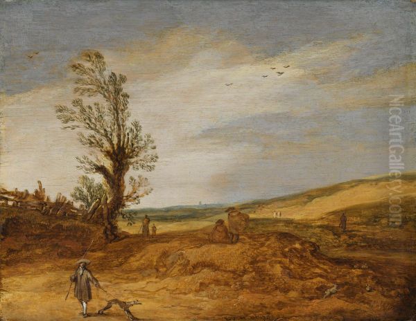 Duinlandschap - view 1