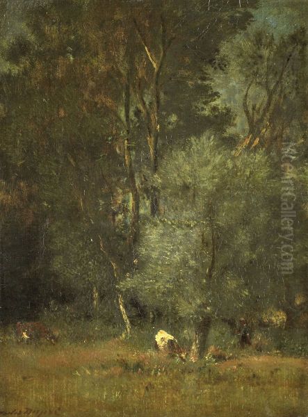 Bosgezicht - view 1