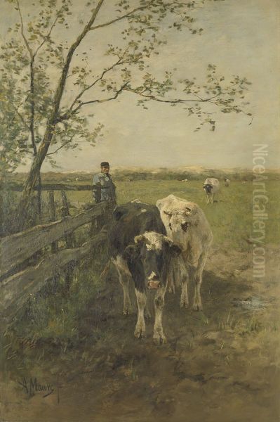 De melkbocht - view 1