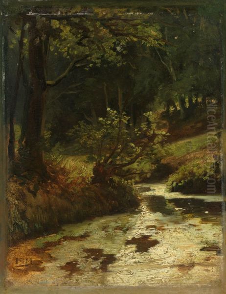 Brook in the Woods near Oosterbeek - view 1