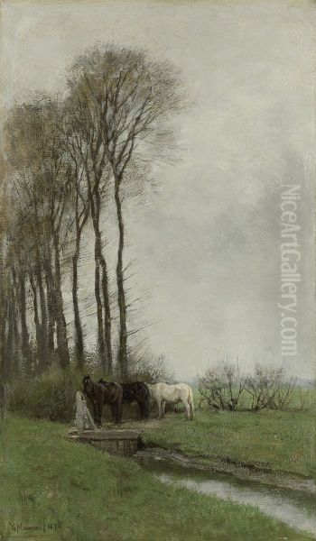 Paarden bij het hek - view 1