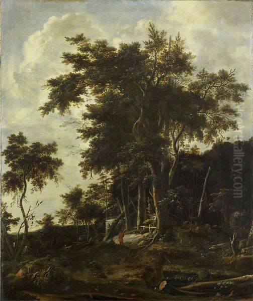 Boslandschap met houthakkerswoning - view 1