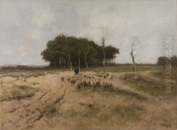 Heide bij Laren - view 1