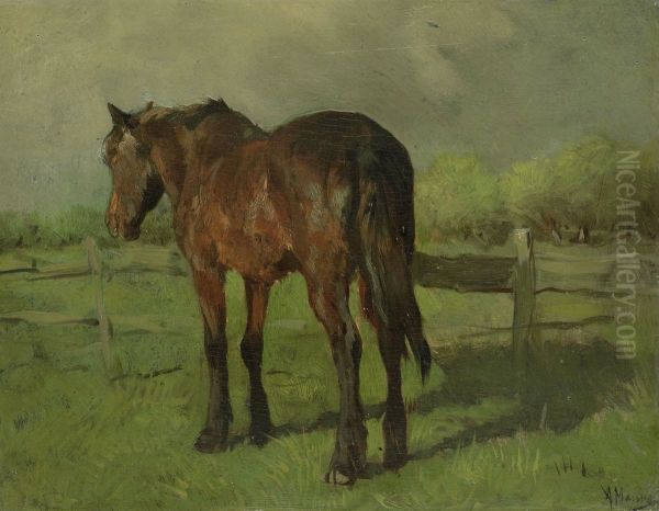 Paard - view 1