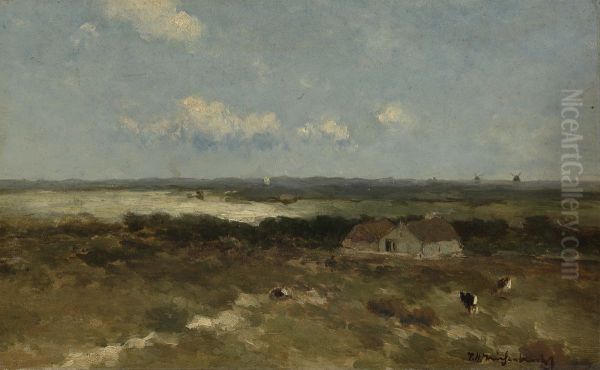 Duinlandschap - view 1