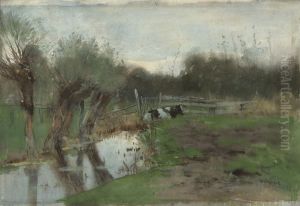 Weiland met liggende koe bij een sloot Weiland met liggende koe bij een sloot