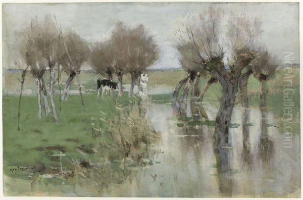 Hoog water in het weiland - view 1