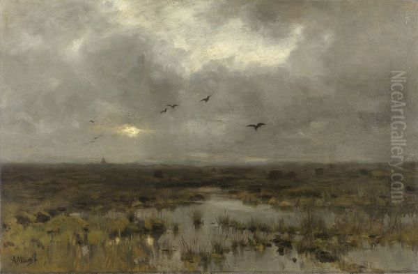 Het moeras - view 1