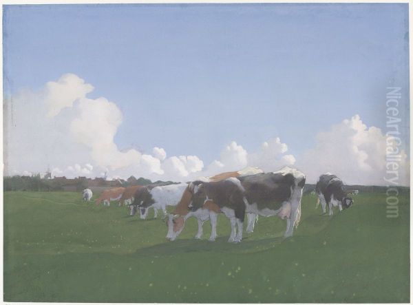 Grazing cows in a meadow - view 1