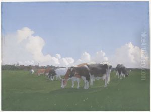 Grazing cows in a meadow Grazing cows in a meadow