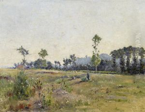 Field Landscape In Sologne