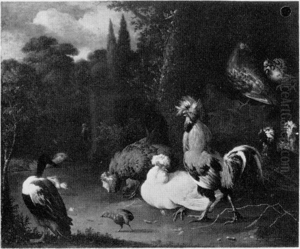 Poultry and Ducks in a Park - view 1