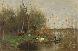 Slootrand met eenden bij een eendenkorf Slootrand met eenden bij een eendenkorf