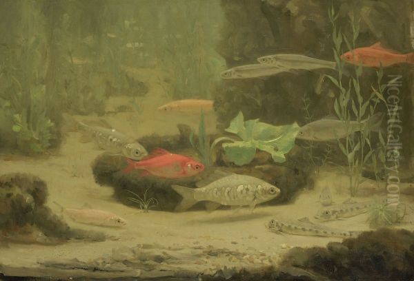 Goud- en zilvervisjes in een aquarium - view 1