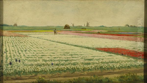 Tulpenvelden - view 1