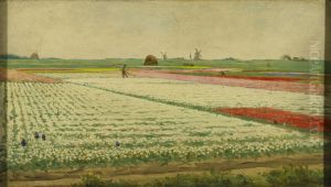 Tulpenvelden by Gerrit Willem Dijsselhof